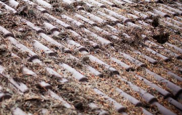 Allhallows roof cleaning companies