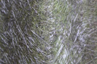 Allhallows fibreglass roof work